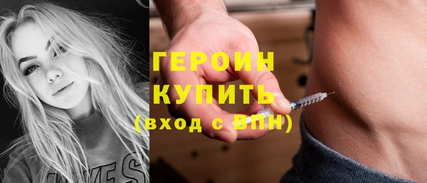 крисы Бородино