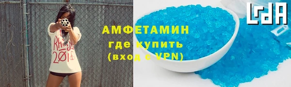 крисы Бородино