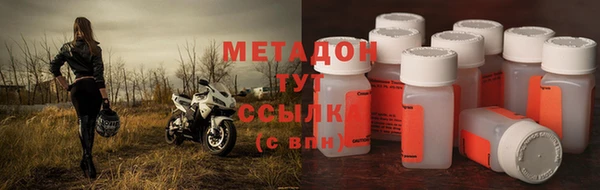 крисы Бородино