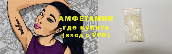 крисы Бородино