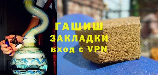 крисы Бородино
