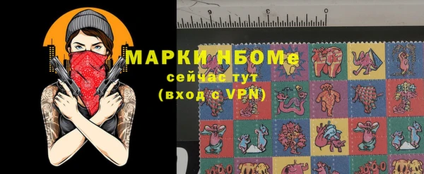 крисы Бородино