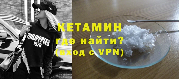 крисы Бородино