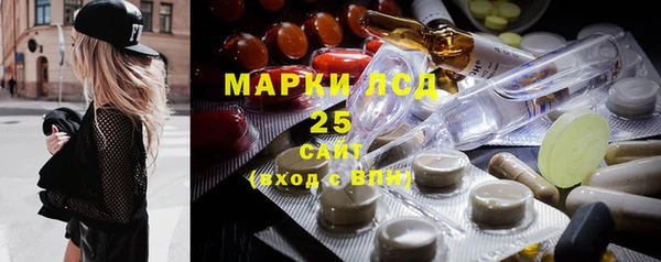 крисы Бородино