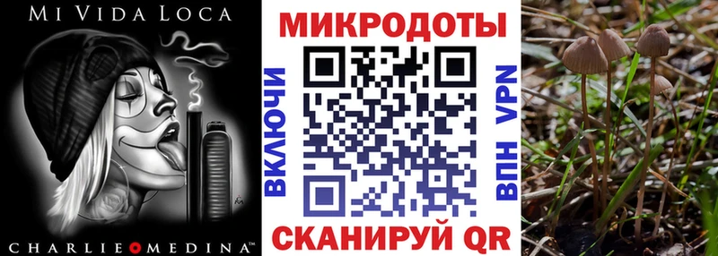 даркнет сайт  Орехово-Зуево  Галлюциногенные грибы Psilocybe 